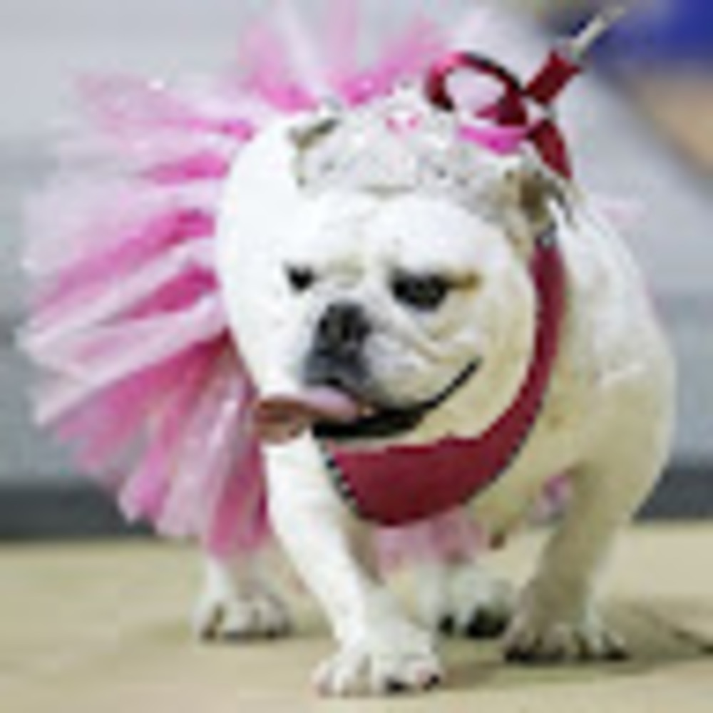 Meet your Posher, Kbs